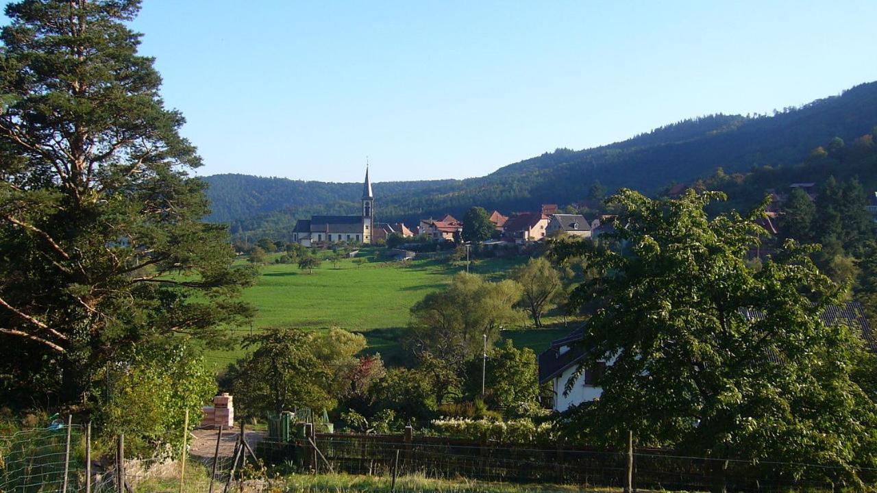Hotel Du Haut Koenigsbourg- Entre Vignes Et Chateau Thannenkirch Zewnętrze zdjęcie