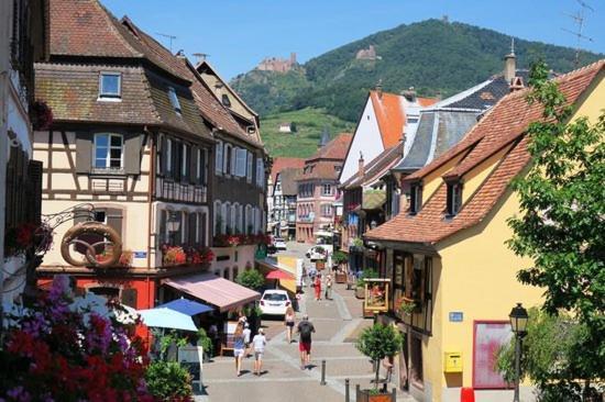 Hotel Du Haut Koenigsbourg- Entre Vignes Et Chateau Thannenkirch Zewnętrze zdjęcie